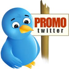 send you 100 safe, permanent RETWETS of your tweet  for                            