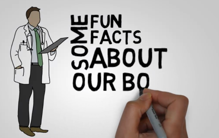 create Awesome Professional Whiteboard Video Scribe to explain your Business