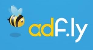 teach you how to make 100 dollars daily with adf.ly