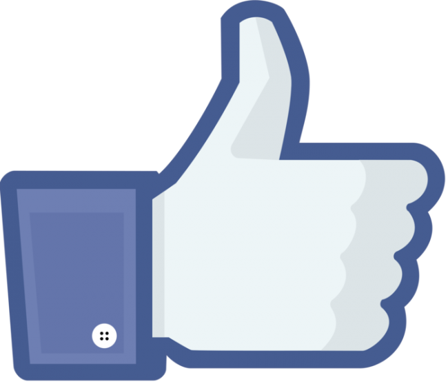 Facebook Vote 500