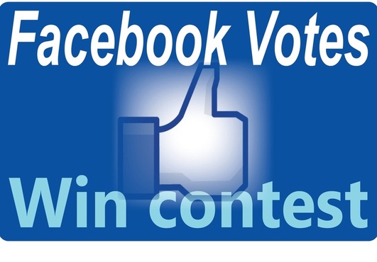 manage 100 facebook vote for any contest,website even photo