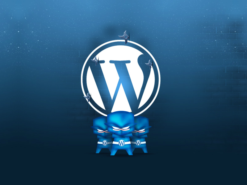 I will Give You 30 how to videos for wordpress