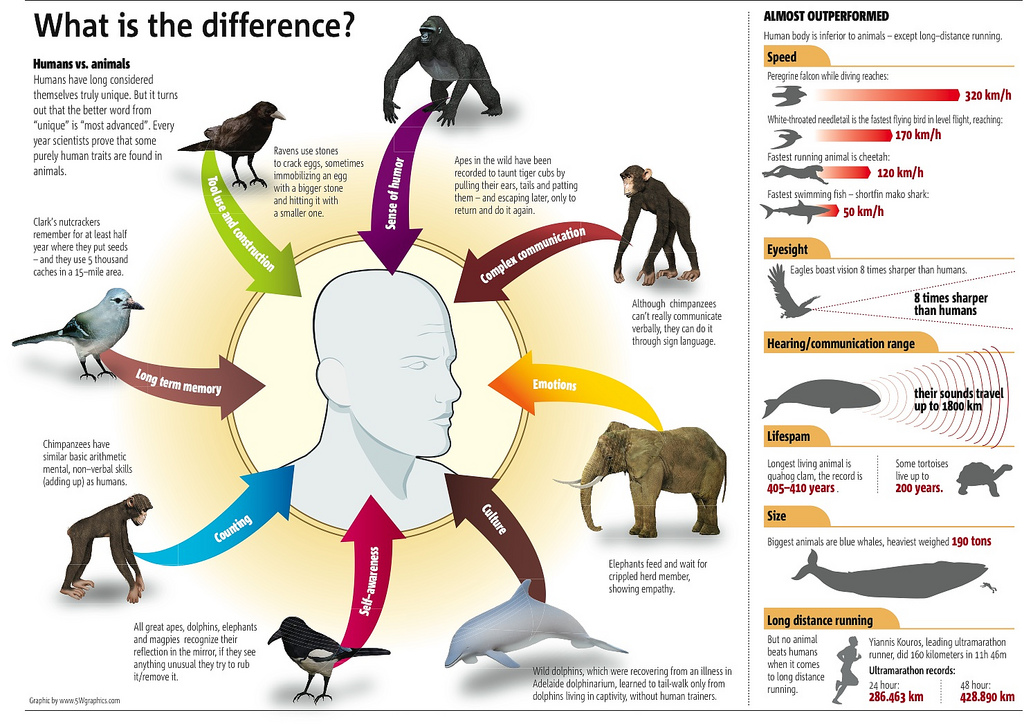 I will give you my collection of 500+ Infographics Very High Quality and Completely EDITABLE 