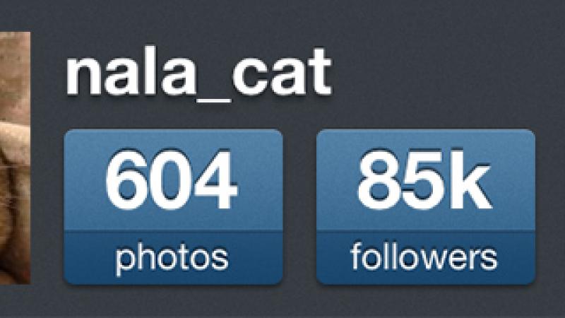 15.000+ Instagram Followers and 10.000 Likes - no admin access - fast 