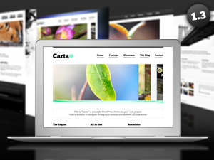 sell Carta wordpress suite