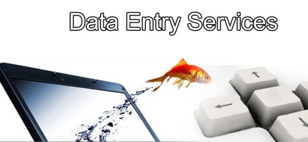 do Accurate, Professional Data Entry work!!@@!!