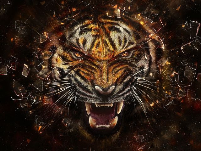 Get 100 ►►TIGER Backlink◄◄ !!!