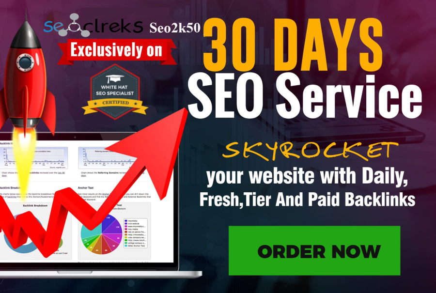 RANK 1st Page Your Website With Complete SEO Service for 30 days, daily, fresh and strong backlinks
