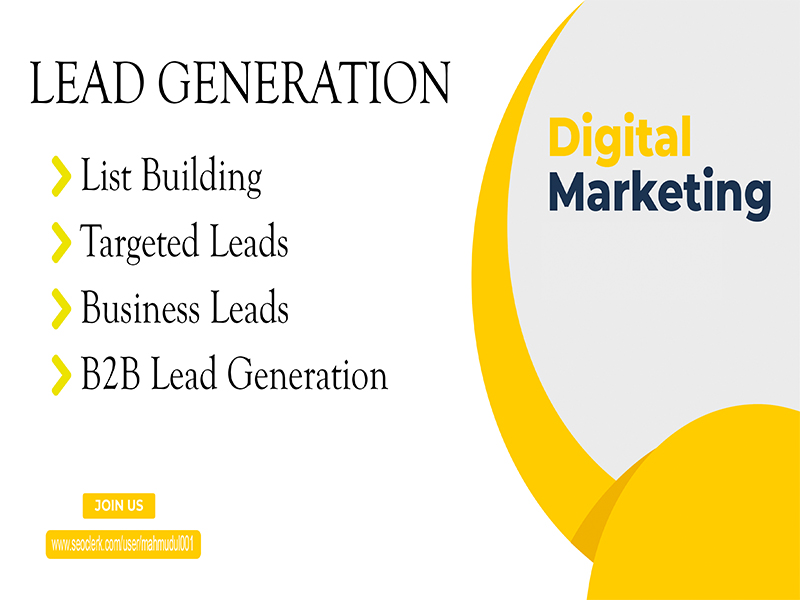 I can provide B2B Targeted Lead Generation, Email List Building with B2B Data Research