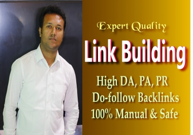 I will do 80 link building,  backlinks in high PR sites