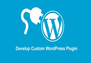 develop custom WordPress plugin for you