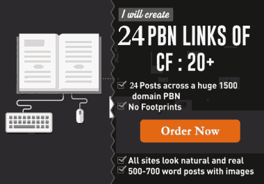 24 Strong Homepage High Quality PBN Backlinks DA50 +Bonus