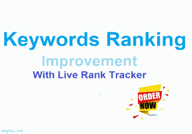 A Sureshot Keyword Ranking Improvement With Live Rank Tracker