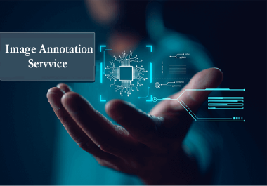 High-Quality Data Annotation Service
