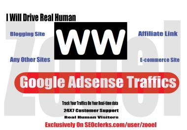 1000+ Real Human USA Traffics/Visitors Google Analytics -Best For Google Ranking