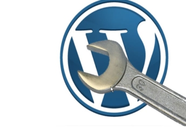I will Solve any WordPress Problem