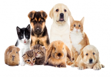 I will send you 1380 private label rights articles about pets