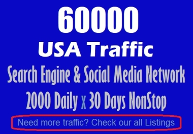 60000 Traffic from USA to your website or any link