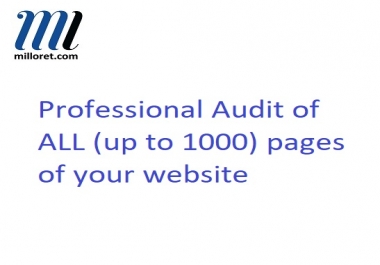 Professional SEO audit of your webite