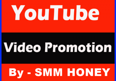 Provide Highest Quality YouTube Promotion