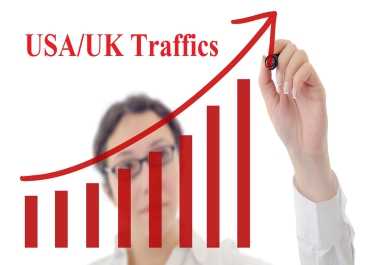 Real 1000+ USA Human Traffics or Visitors to Website or Blog