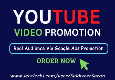 1000 YouTube video Audience via Google ads Promotion