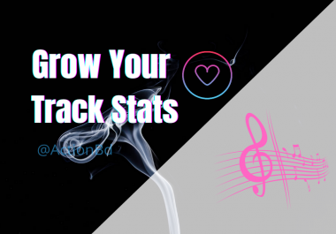 Grow Your Track Stats- Cheap Music Promo