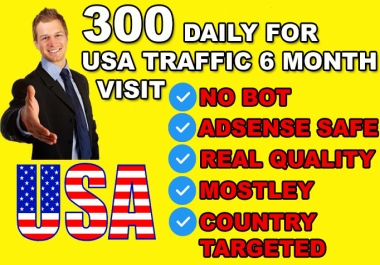 300 Daily USA Website Visitors for 6 Months - Real Targeted American Traffic