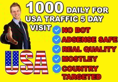 I will send 1000 daily USA website visitors for 5 days - real targeted traffic