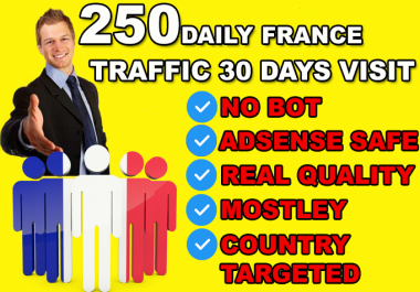 250 Daily France Website Visitors - 30 Days