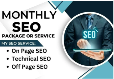 PREMIUM ONE MONTH SEO Package or Service for your Website Ranking in Search