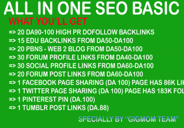 All in One SEO Basic to Boost Search Engine Results - Buy 3 Get 4
