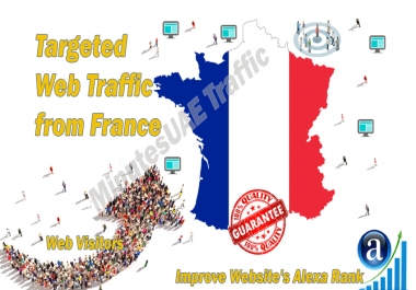 French web visitors real targeted Organic web traffic from France