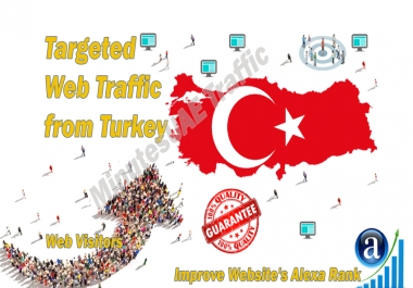 Turkish web visitors real targeted Organic web traffic from Turkey