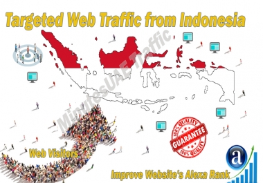 Indonesian web visitors real targeted Organic web traffic from Indonesia