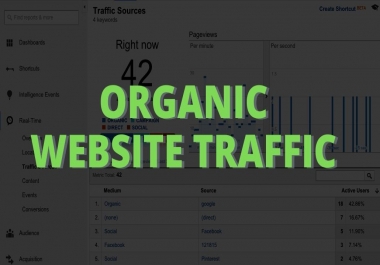 Organic Website Traffic from USA + Choose Your Source