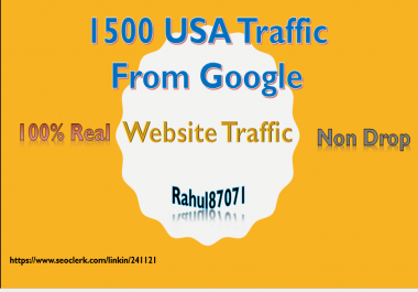 1500 Real USA web traffic from google to your web or blog site