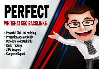 Perfect Backlinks Your Website's Google Ranking with White Hat SEO Services