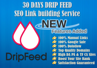 We are Proficient 30 Days Drip-Feed S E O Link building Service