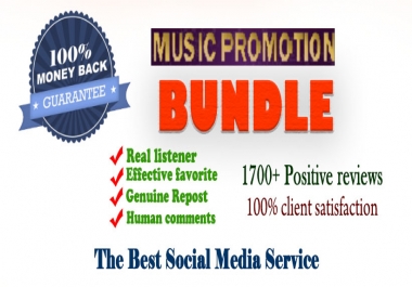 Super Promotion package- Promote your track with Best promotional services
