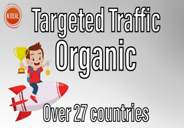 3000 Visitors Targeted Real and Organic Traffic