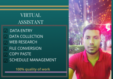 virtual assistant for data entry and web research