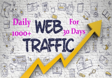 Provide daily 1000+ organic web traffic for 30 days