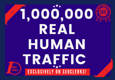 Send 1,000,000+ Real Human Traffic from GOOGLE, YAHOO, BING etc.