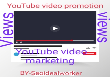 I can provide natural YouTube Audience of your video promotion