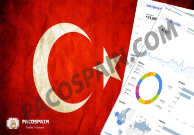 send 250 Turkey Targeted Visitors for 30 Days with low bounce rate