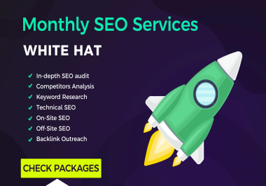 Provide full monthly SEO packages to Boost your Website Ranking
