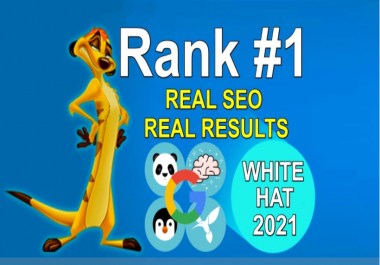 Create 100 Manually 55 PR10 High Authority Backlinks White Hat