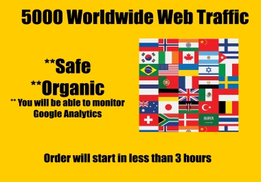 5k organic worldwide traffic Google Analytics Safe