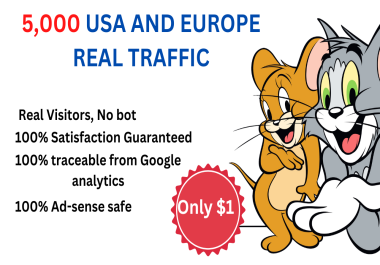 Drive 5,000 real human USA and EUROPE web TRAFFIC in 48 hours